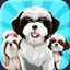 Shih Tzu Dog Emojis Stickers icon