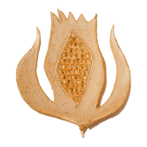 Totally Natural Skincare app icon