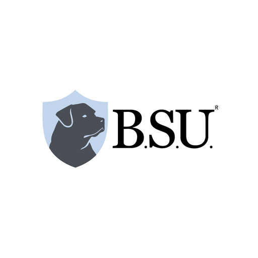 BSU Satelital app icon