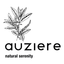 Auziere icon