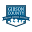 Gibson County SSD, TN icon
