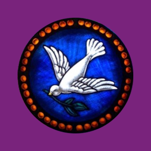 MOBC VA app icon