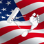 USA Scan icon