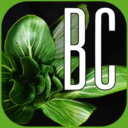 Bok Choy AK app icon