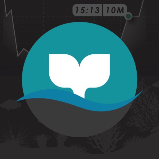 Dive Story app icon