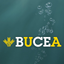 BuCEa icon