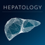 Hepatology icon