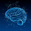 Callibri Biofeedback icon