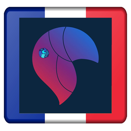 M&I French Vocabulary Trainer app icon