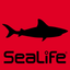 SportDiver icon