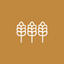 CFCHOME icon