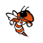 Mineola ISD, TX icon