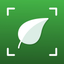 Plant Identifier: PlantInfo AI icon