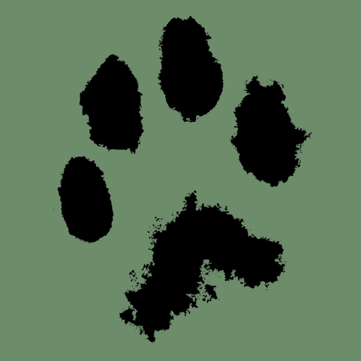 Luchs-App app icon