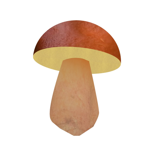 Foraged app icon