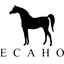 ECAHO icon