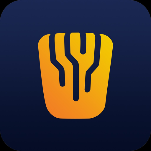 DataCork VPN Platform app icon