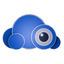 VSaaS icon
