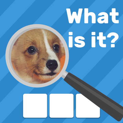 Zoom Quiz Game: Guess The Pics app icon