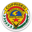 Copriseg GPS icon