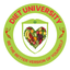 Diet University icon