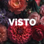 VISTO Andorf icon