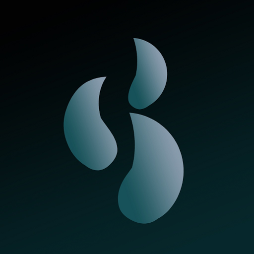 BlackBiz app icon