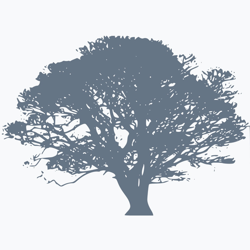 Collegium Telemedicus app icon