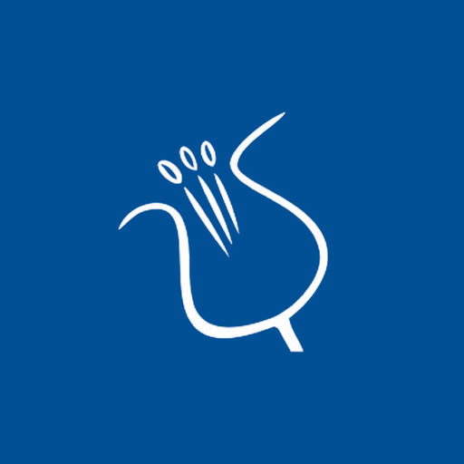 Palasport Pro Loco Carisolo app icon