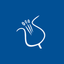 Palasport Pro Loco Carisolo icon