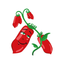 San Marzano icon