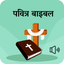Holy Bible in Hindi icon