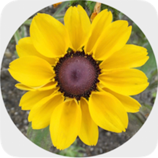 MesaExif4iOS app icon