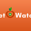 Keto watch icon