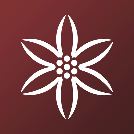 Alemany, Experiencia B2B app icon
