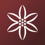 Alemany, Experiencia B2B icon
