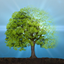 Idle Plant 3D icon
