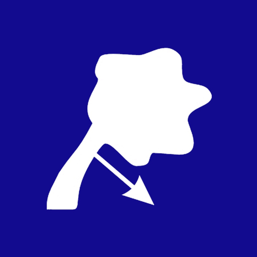 PTQ.App app icon