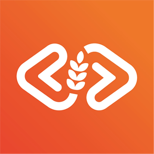 LİSDEP app icon