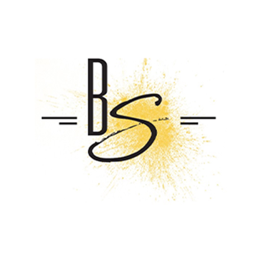 BS Smart app icon