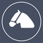 Caballo Chileno icon
