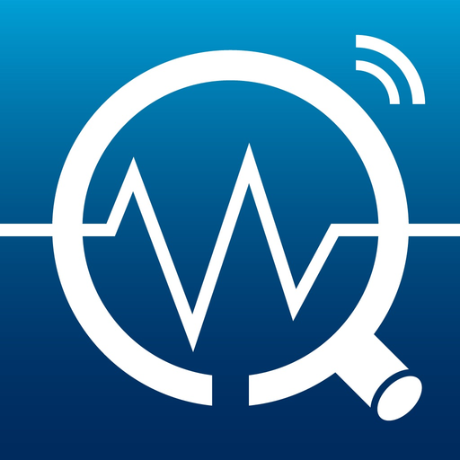 WitExpert app icon