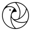 Story Parrot: Collage Maker icon