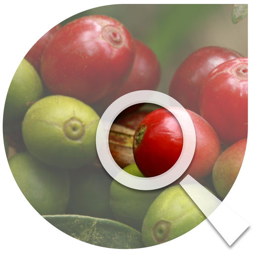 Cenicafé: Manejo agronómico app icon