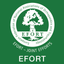 EFORT icon
