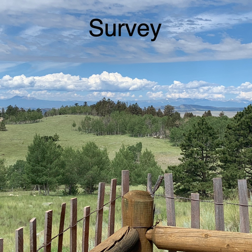 Survey Help app icon
