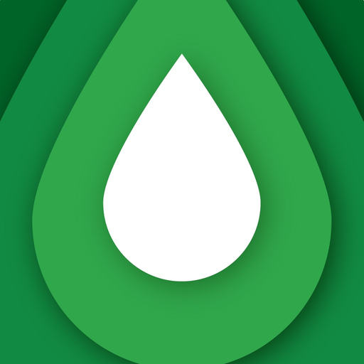 Flagman app icon