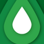 Flagman icon