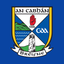 Cavan GAA icon
