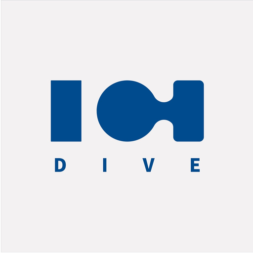 DIVE app icon